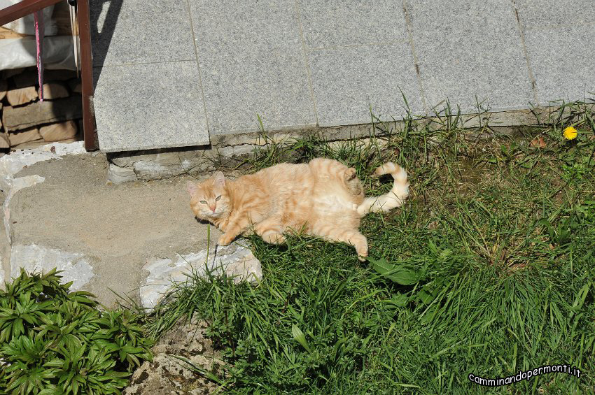083 Relax.JPG
